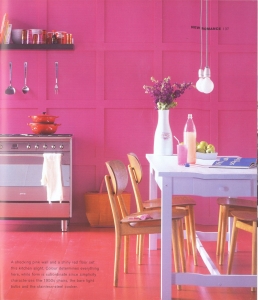 bright pink kitchen