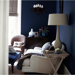 Dark Blue Living room 428